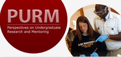 perspectives on undergraduate research and mentoring logo