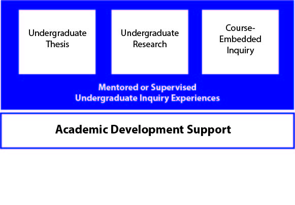 undergraduate inquiry experiences graphic