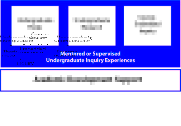 undergraduate inquiry experiences graphic