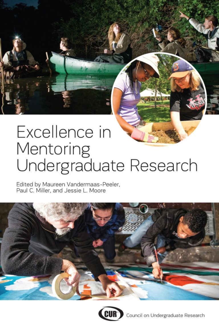 Excellence in Mentoring Undergraduate Research Cover