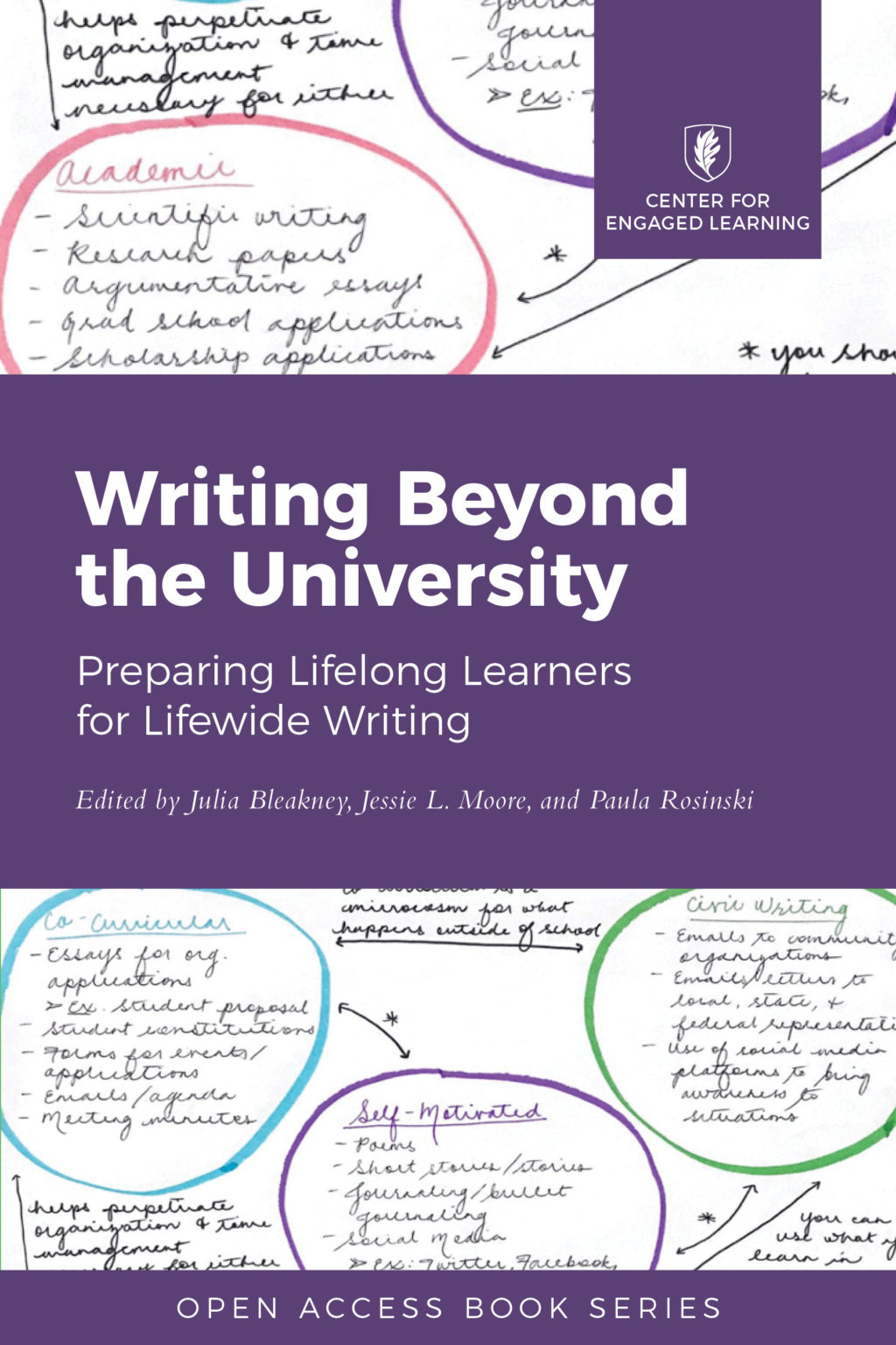Writing Beyond the University book cover