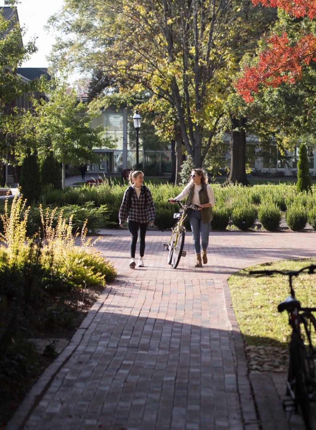 Two students (one pushing a bicycle) talk as they walk along a brick pathway