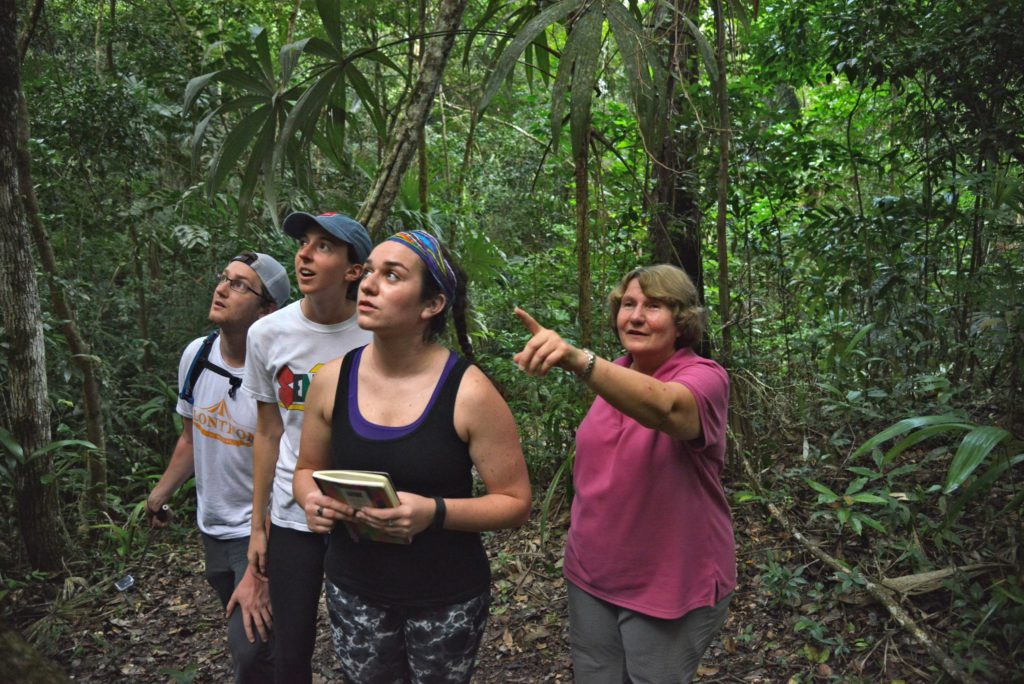 Three students and a professor are in deep woods or a jungle. The professor is pointing to something outside the photo and everyone is looking at it.
