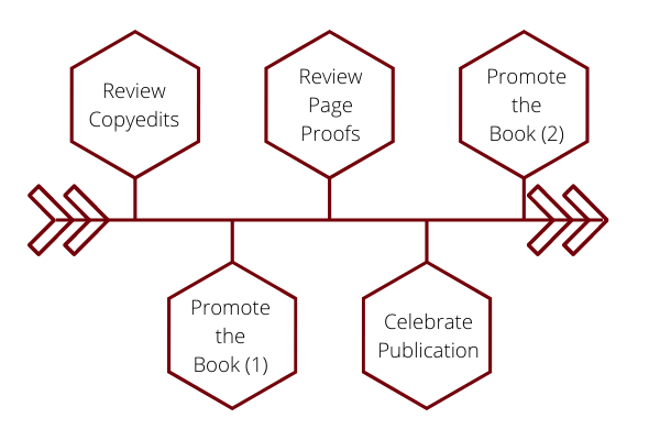 A flow chart showing the process after the manuscript is submitted: review copyedits, promote the book (1), review page proofs, celebrate publication, and promote the book (2)
