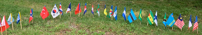 A row of small flags from many different countries are arranged in a line through the grass.