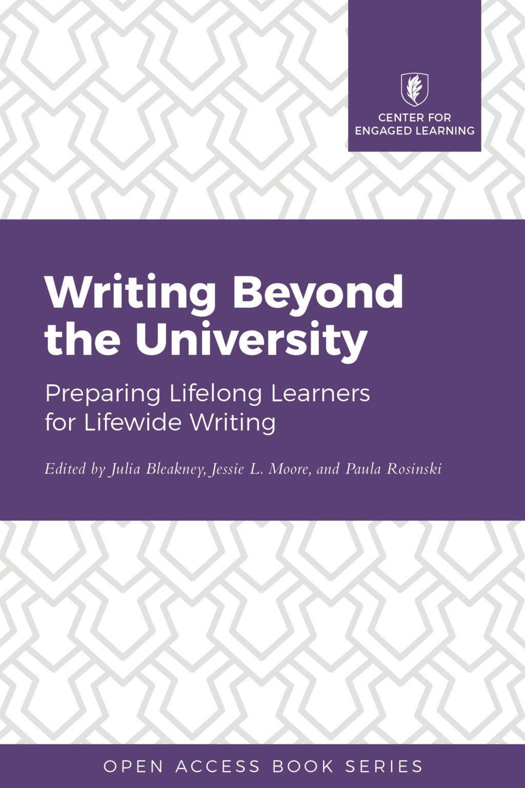 Book cover for Writing Beyond the University