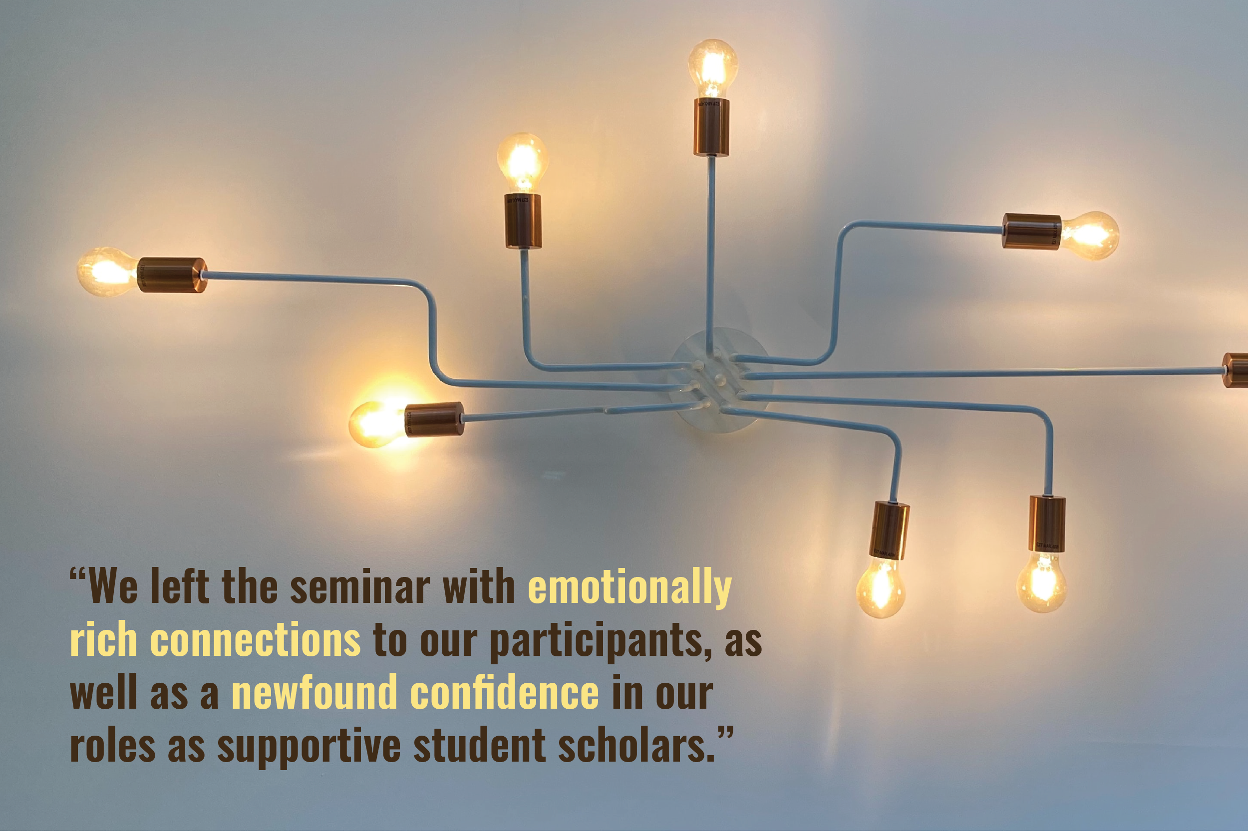 8 lightbulbs glow against a wall. Each lightbulb's cord winds together to a central hub. A quote reads "We left the seminar with emotionally rich connections to our participants, as well as a newfound confidence in our roles as supportive student scholars."