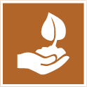 Icon image of a hand holding a seedling