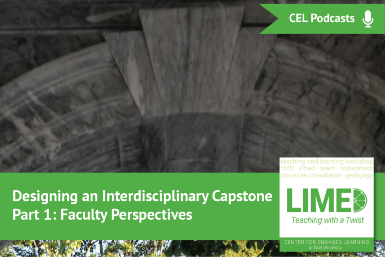 Designing an Interdisciplinary Capstone, Part 1: Faculty Perspectives