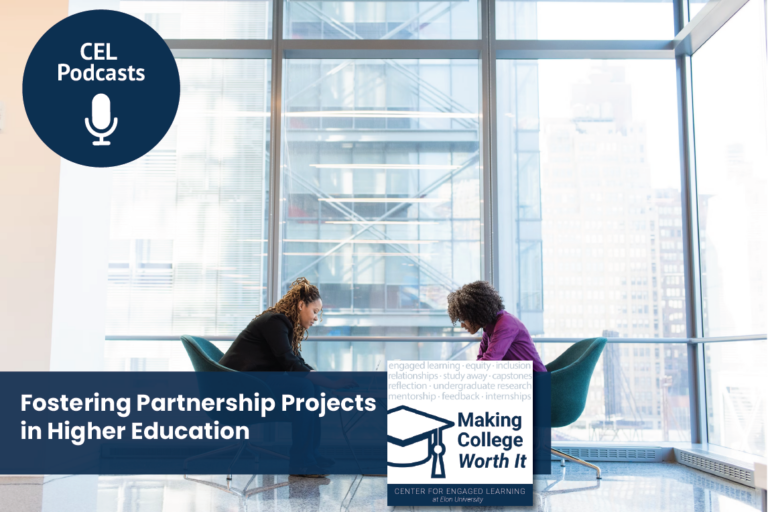 Fostering Partnership Projects in Higher Education