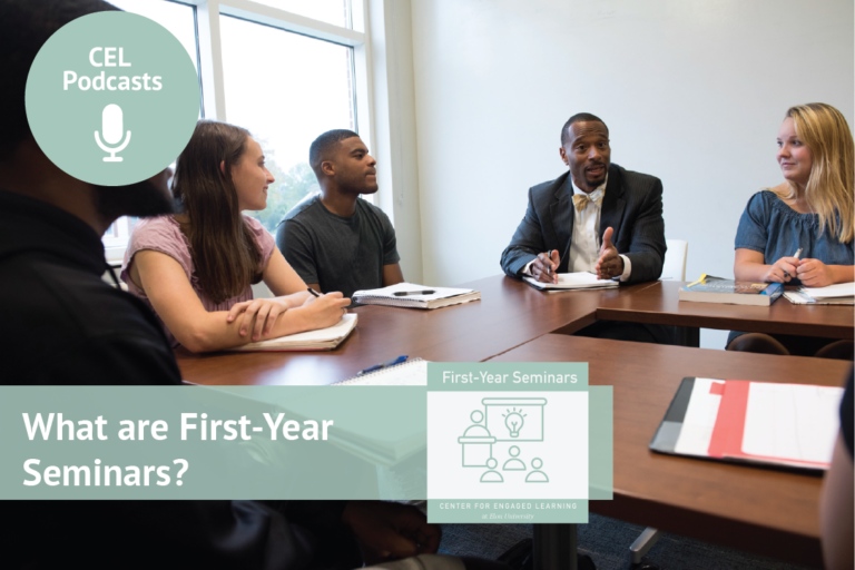 What are First-Year Seminars